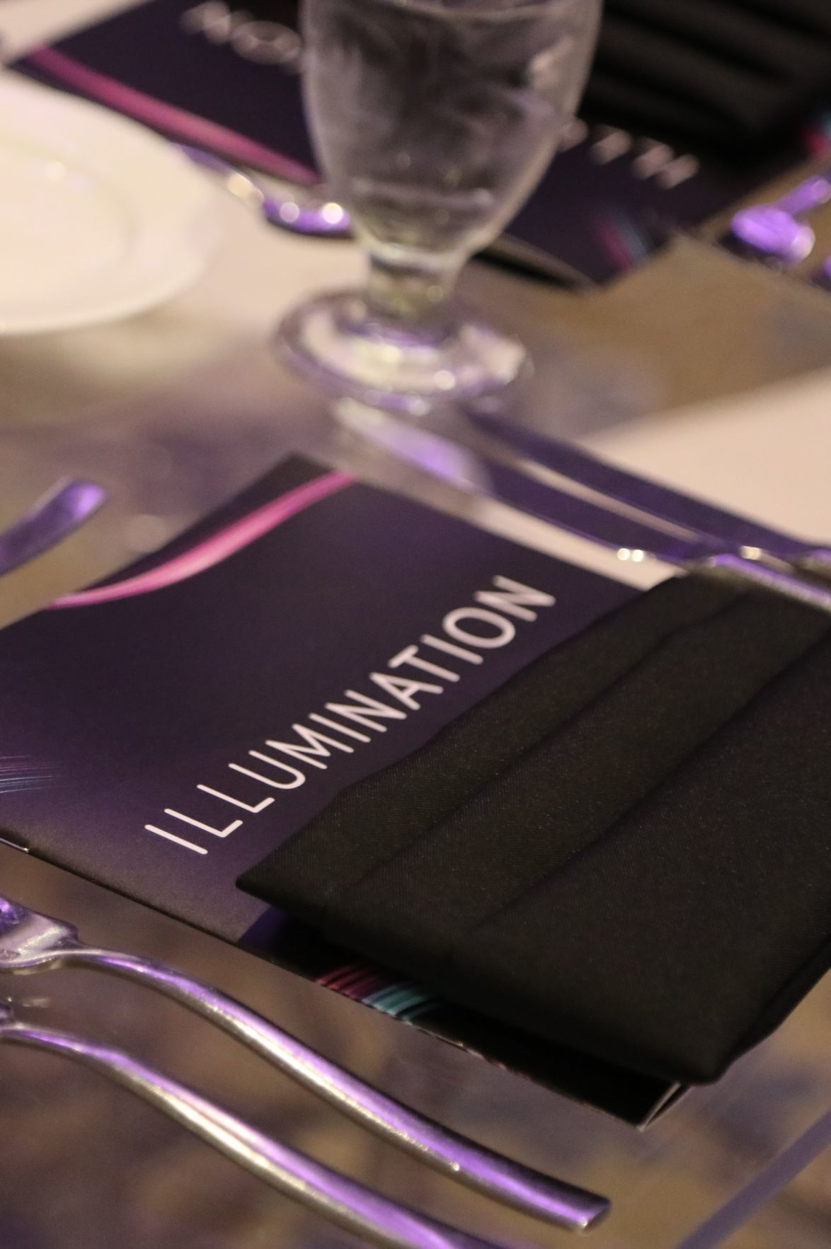 2018-Illumination-Gala032.JPG